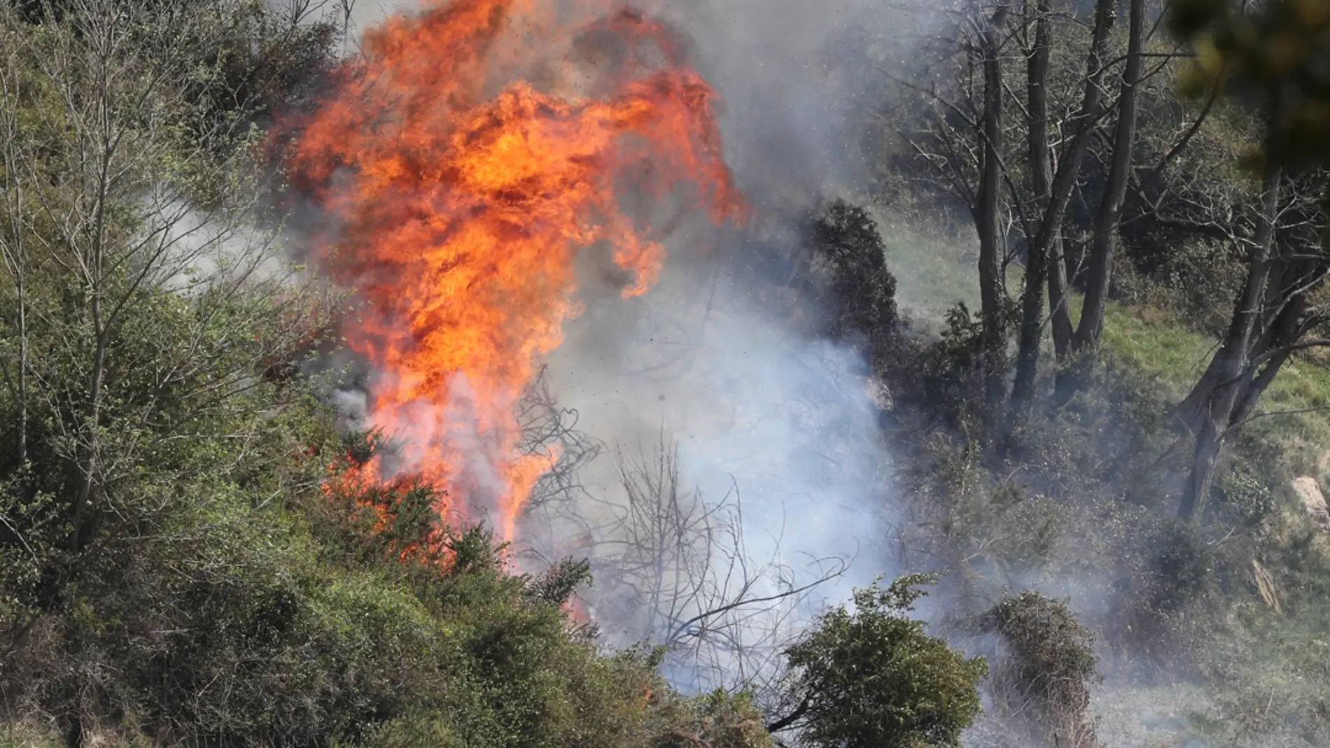 El Gobierno abordará cuanto antes la declaración de zona catastrófica para Asturias tras los incendios