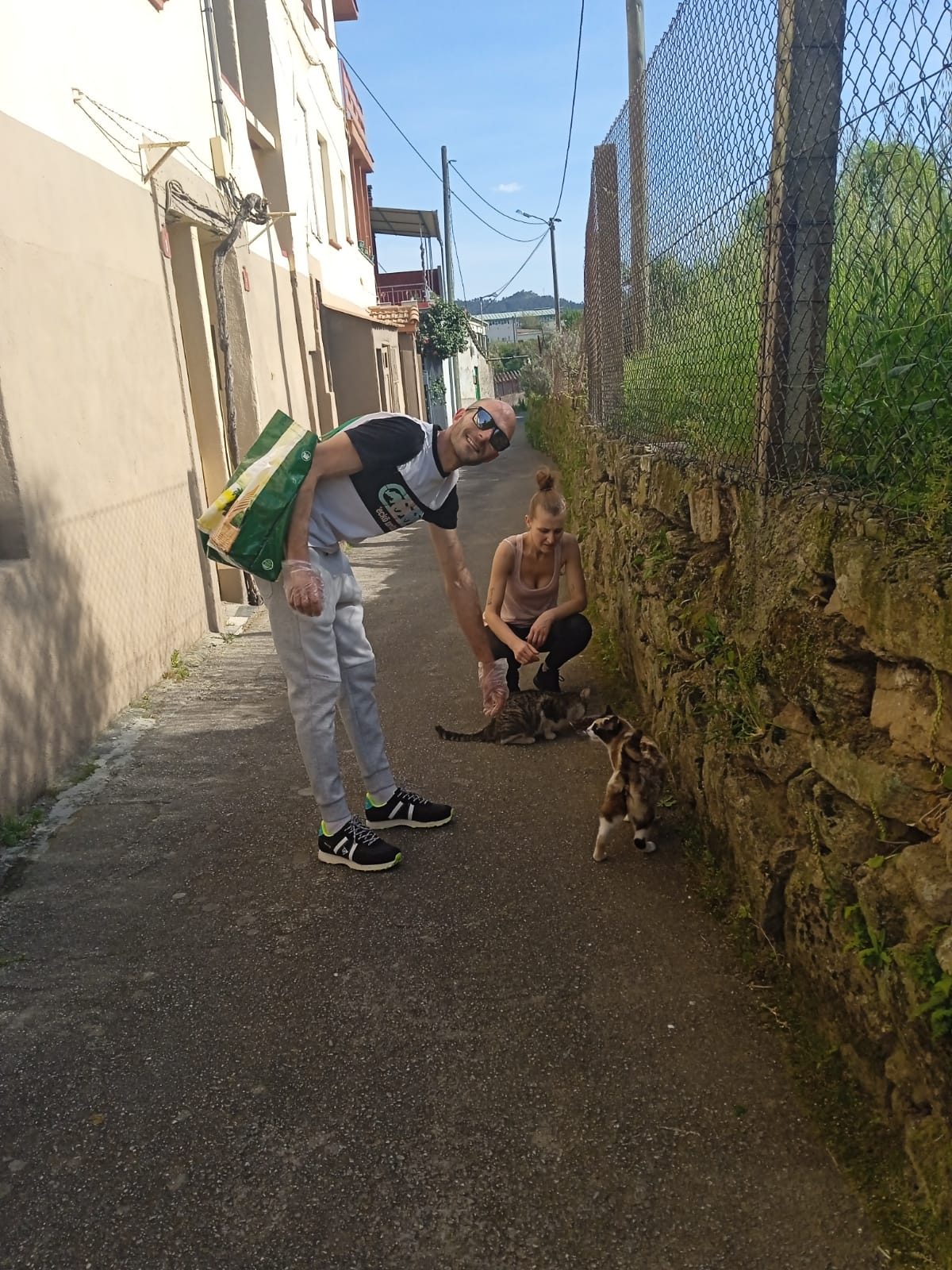 Denuncian a una protectora de Ourense por tener encerrada en una jaula a una gata de colonia desde hace más de un mes Denuncian a una protectora de Ourense por tener encerrada en una jaula a una gata de colonia desde hace más de un mes