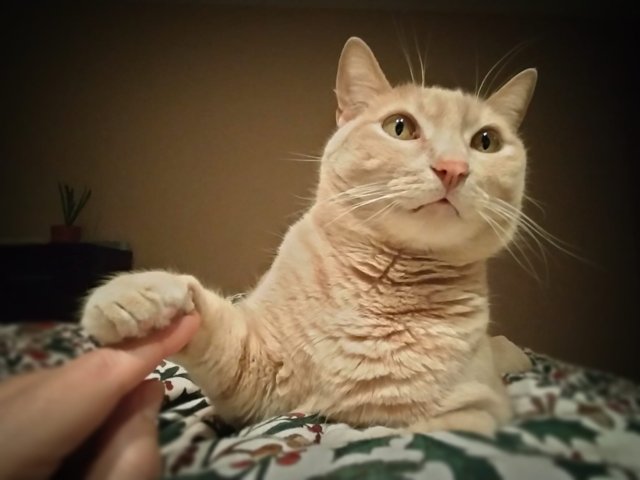 Más de Uno León 11/04/2023 Más de Uno León 11/04/2023