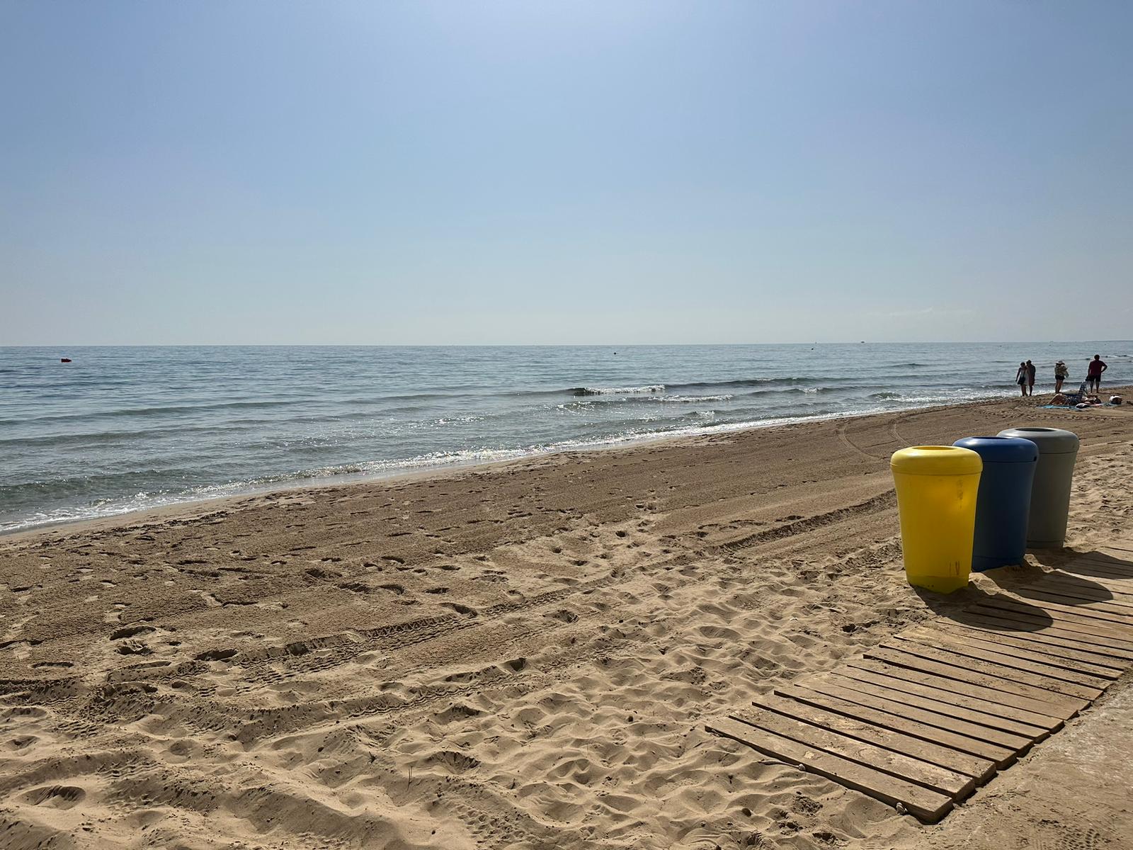 El PP de Elche reclama a PSOE y Compromís un plan municipal para regenerar las playas ilicitanas El PP de Elche reclama a PSOE y Compromís un plan municipal para regenerar las playas ilicitanas