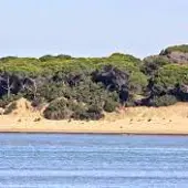 Bruselas vuelve a alertar a España del riesgo de ampliar regadíos en Doñana y recuerda posibles multas Bruselas vuelve a alertar a España del riesgo de ampliar regadíos en Doñana y recuerda posibles multas