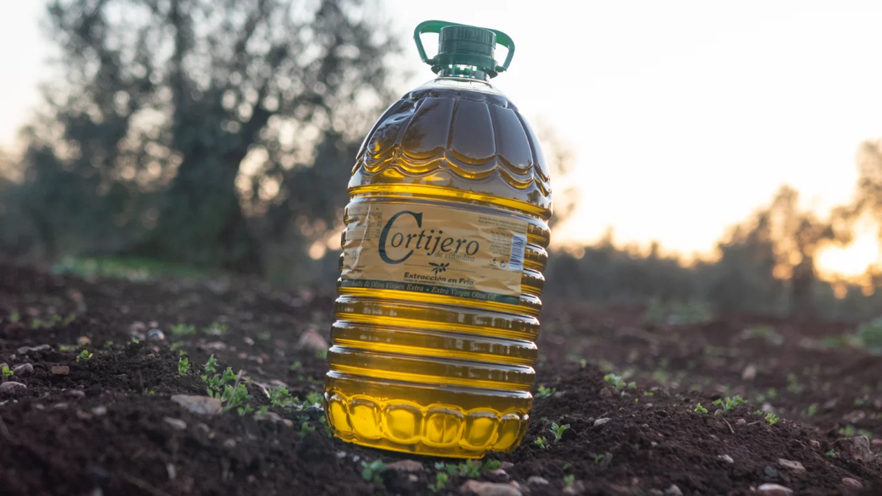 "Cortijero" del grupo Viñaoliva premio Mezquita de Oro en el X Concurso Ibérico a la Calidad del Aceite Virgen Extra 2023