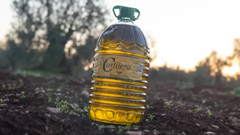 "Cortijero" del grupo Viñaoliva premio Mezquita de Oro en el X Concurso Ibérico a la Calidad del Aceite Virgen Extra 2023 "Cortijero" del grupo Viñaoliva premio Mezquita de Oro en el X Concurso Ibérico a la Calidad del Aceite Virgen Extra 2023