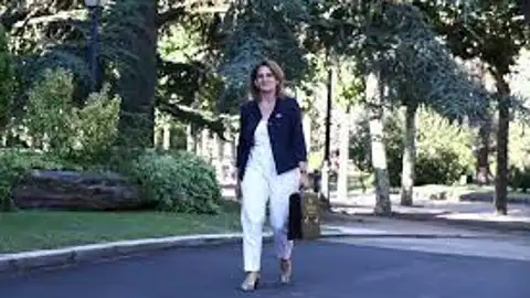 Ribera: La única explicación para regularizar agua en Doñana es el "populismo local" del PP andaluz Ribera: La única explicación para regularizar agua en Doñana es el "populismo local" del PP andaluz