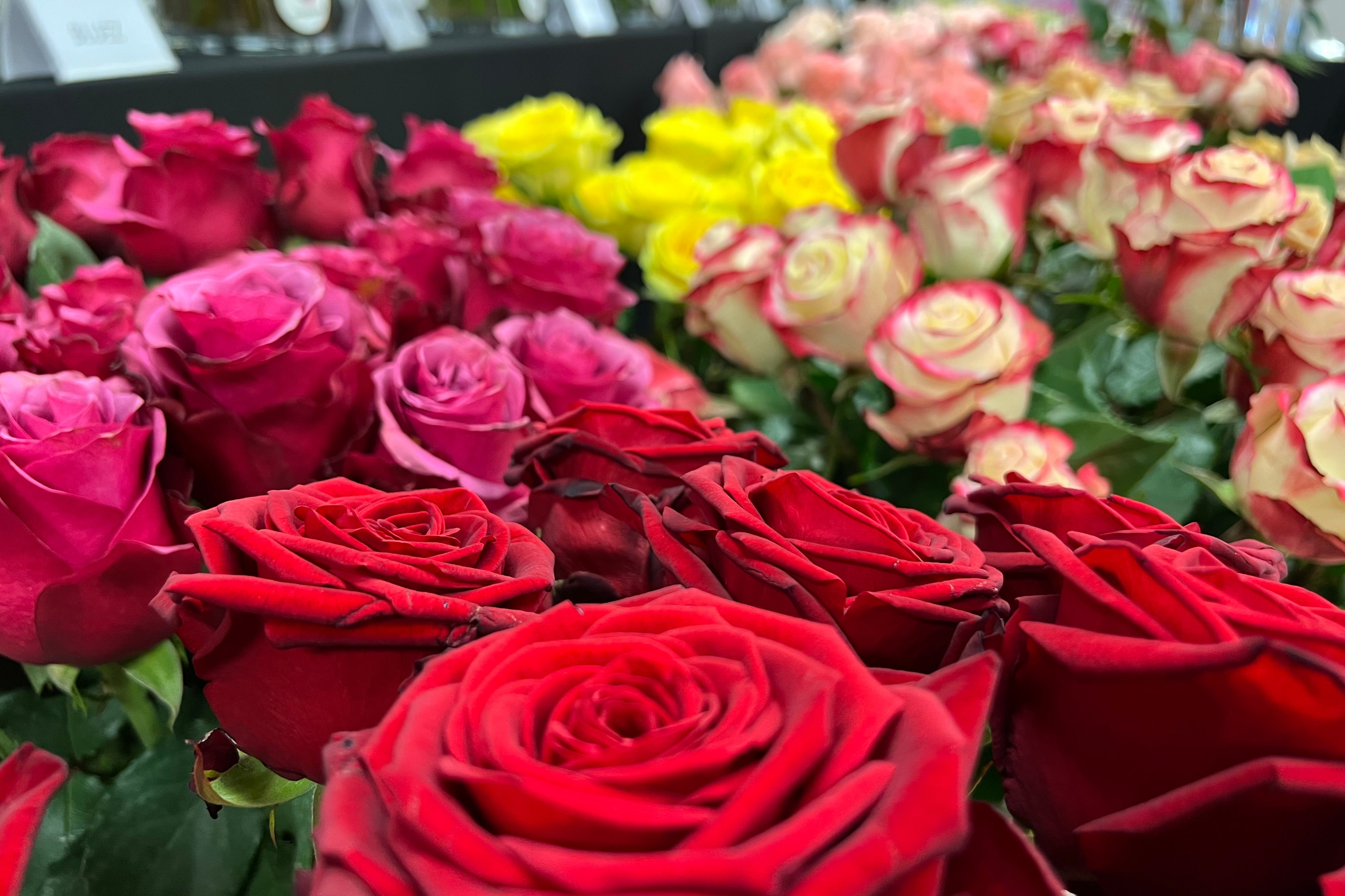 Mercabarna-flor prevé que se vendan seis millones de rosas en Cataluña en Sant Jordi Mercabarna-flor prevé que se vendan seis millones de rosas en Cataluña en Sant Jordi