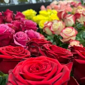 Mercabarna-flor prevé que se vendan seis millones de rosas en Catalunya en Sant Jordi Mercabarna-flor prevé que se vendan seis millones de rosas en Catalunya en Sant Jordi