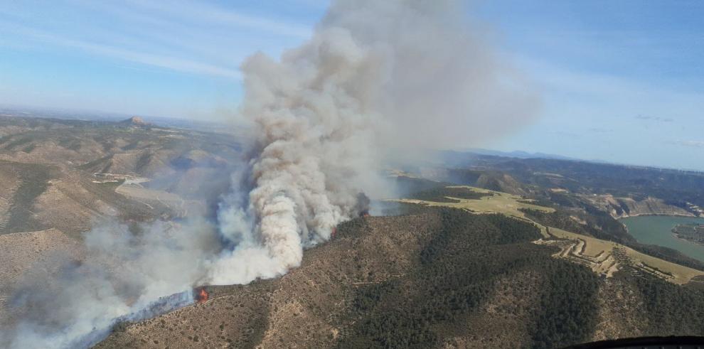 Mequinenza evalúa los daños causados por el último incendio Mequinenza evalúa los daños causados por el último incendio