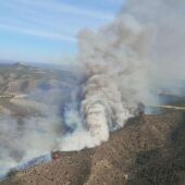 Imagen del incendio declarado el pasado fin de semana en Mequinenza