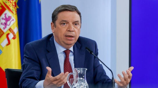 El ministro de Agricultura, Pesca y Alimentaci&oacute;n, Luis Planas