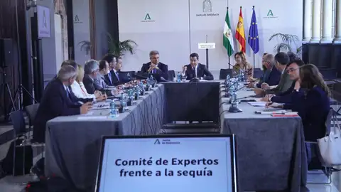 Andalucía aprobará el día 25 el tercer decreto de sequía con más de 40 millones en ayudas al sector agroalimentario Andalucía aprobará el día 25 el tercer decreto de sequía con más de 40 millones en ayudas al sector agroalimentario