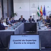 Andalucía aprobará el día 25 el tercer decreto de sequía con más de 40 millones en ayudas al sector agroalimentario Andalucía aprobará el día 25 el tercer decreto de sequía con más de 40 millones en ayudas al sector agroalimentario