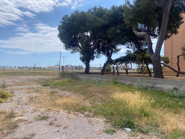 Borriana acondiciona zonas de aparcamiento provisional por las obras de la avenida de la Mediterrània Borriana acondiciona zonas de aparcamiento provisional por las obras de la avenida de la Mediterrània