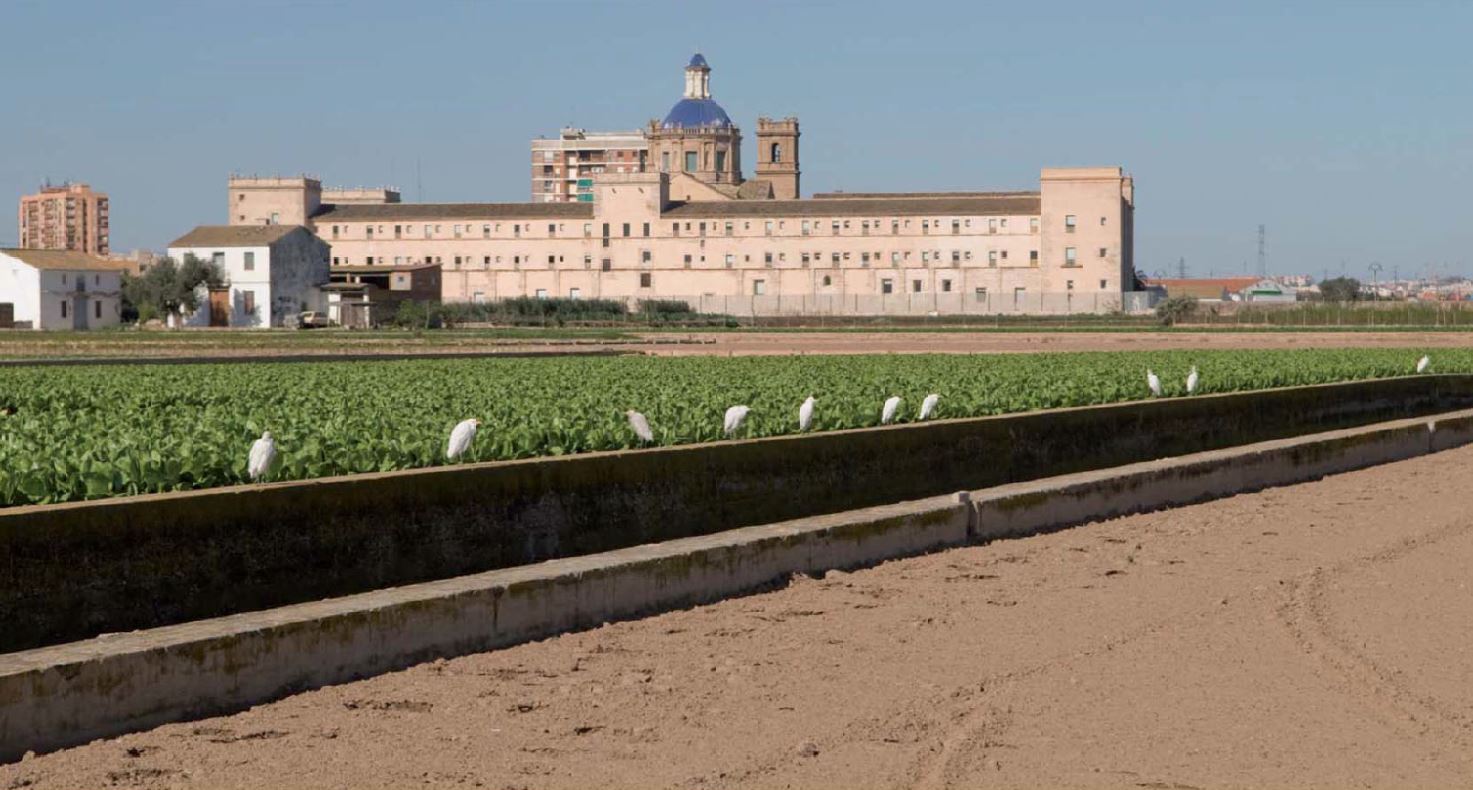 El Ayuntamiento de València encarga el plan para proteger el entorno de San Miguel de los Reyes El Ayuntamiento de València encarga el plan para proteger el entorno de San Miguel de los Reyes