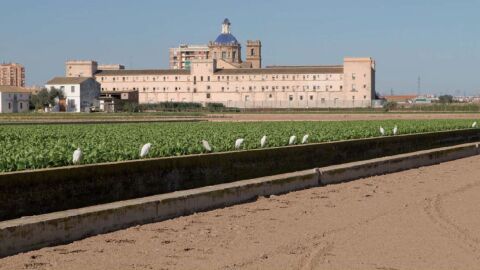 Monasterio de San Miguel de los Reyes