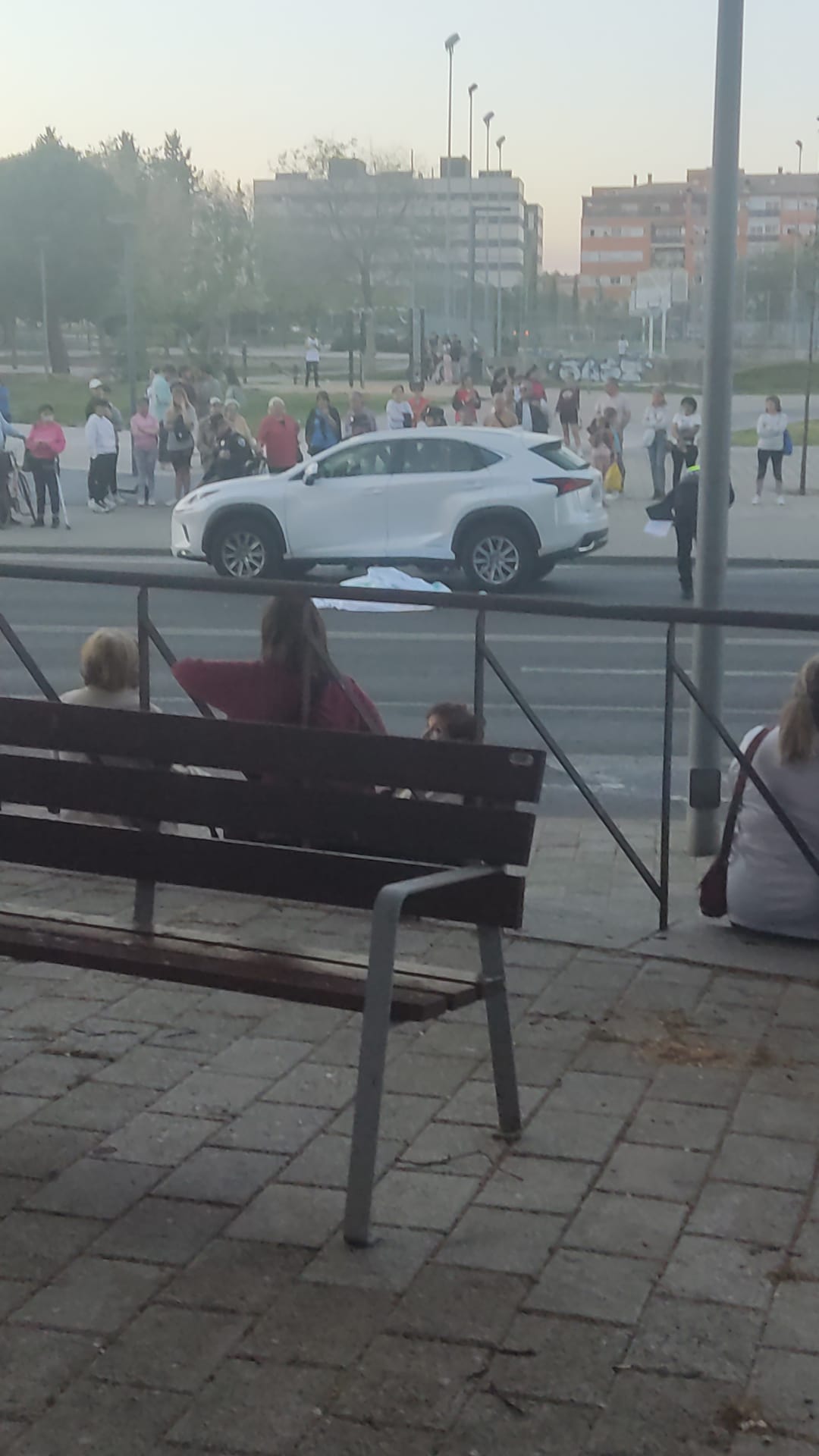 Decretan libertad provisional para el hombre que atropelló mortalmente a una mujer en Ciudad Real Decretan libertad provisional para el hombre que atropelló mortalmente a una mujer en Ciudad Real