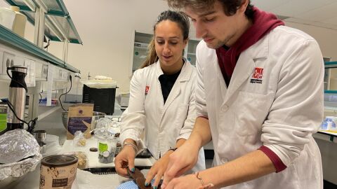 Alumnos del Grado en Biotecnolog&iacute;a