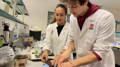 Alumnos del Grado en Biotecnología Alumnos del Grado en Biotecnología