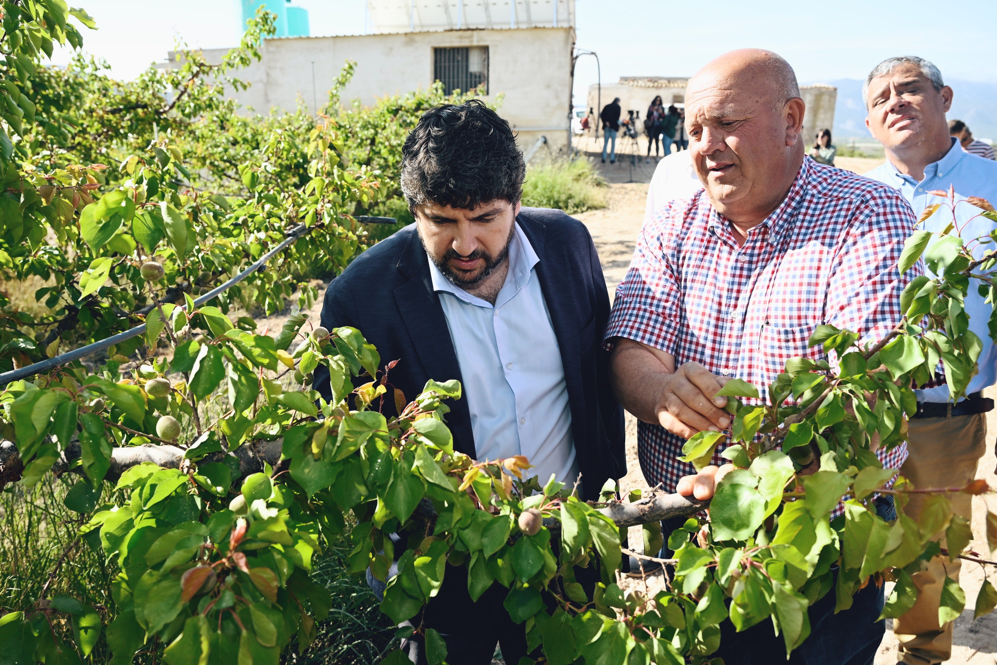 El Gobierno regional destinará a agricultores y ganaderos líneas de crédito blandas para combatir la sequía El Gobierno regional destinará a agricultores y ganaderos líneas de crédito blandas para combatir la sequía