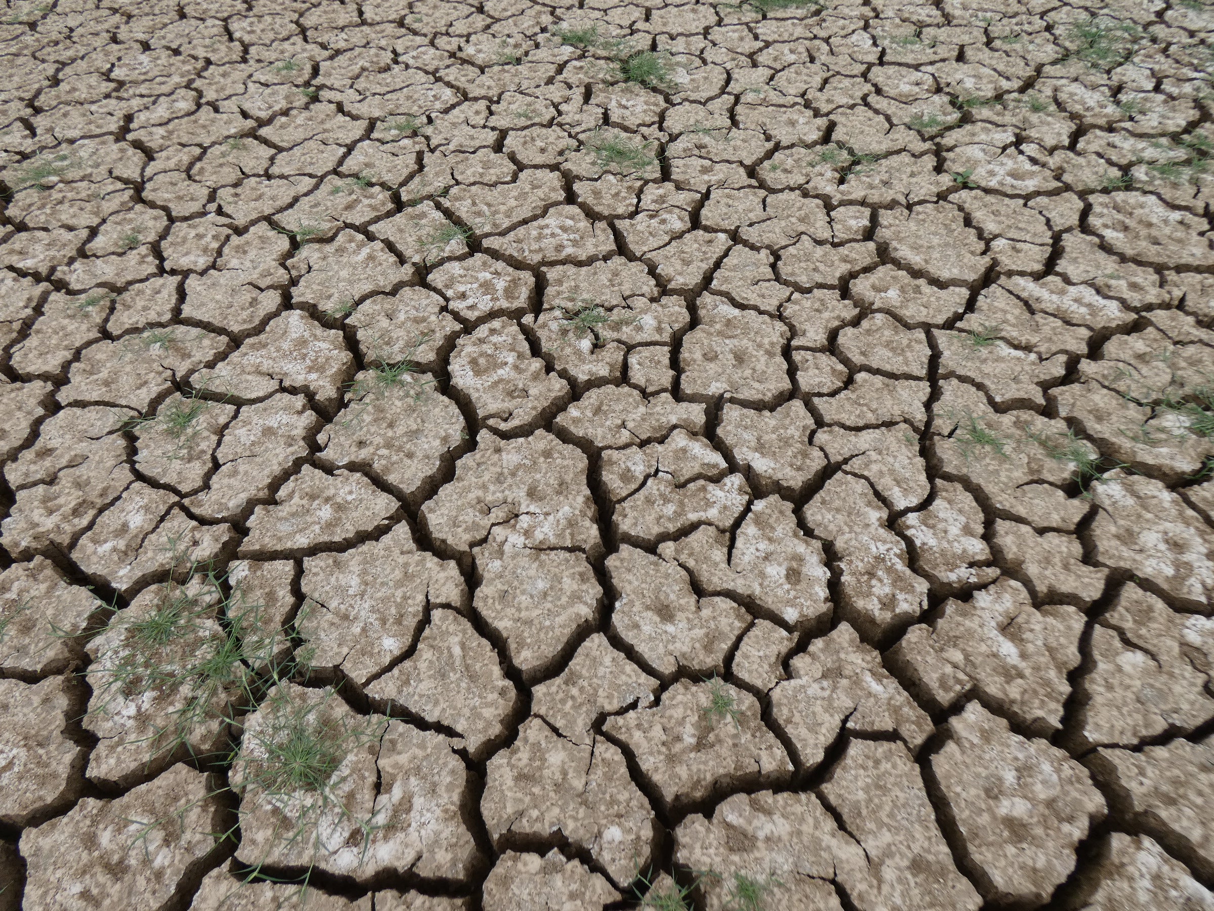 Científicos de la UE advierten sobre la sequía: "El sur de España será uno de los lugares más vulnerables a nivel climático" Científicos de la UE advierten sobre la sequía: "El sur de España será uno de los lugares más vulnerables a nivel climático"