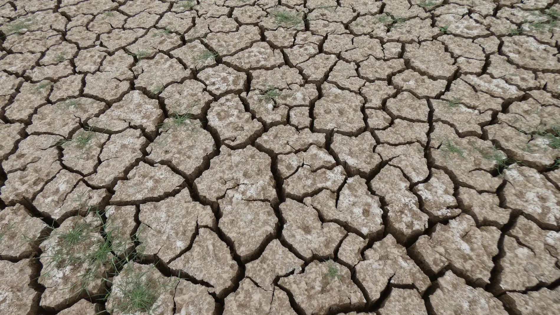 Cuenca del Iregua entra en prealerta por sequía