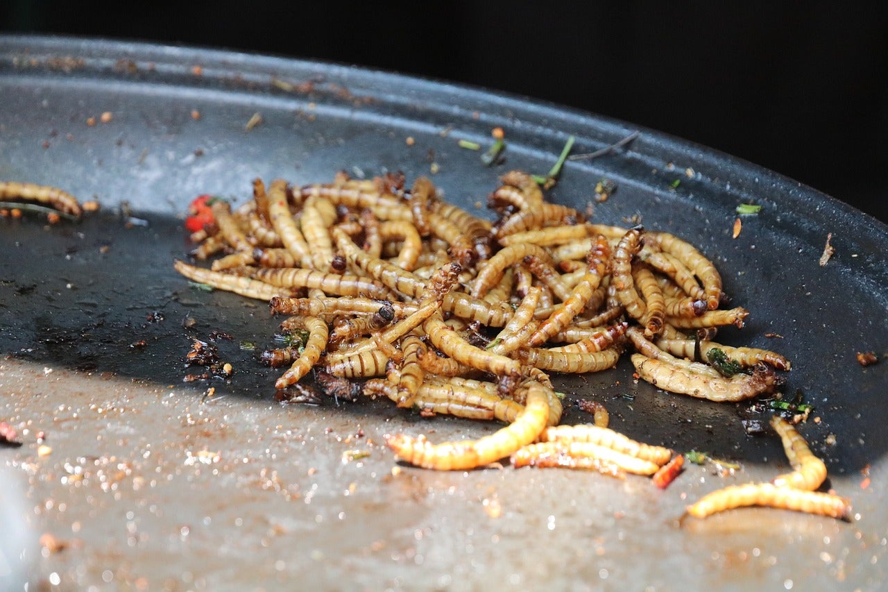 Los cuatro insectos comestibles que ya puedes comprar en el supermercado Los cuatro insectos comestibles que ya puedes comprar en el supermercado