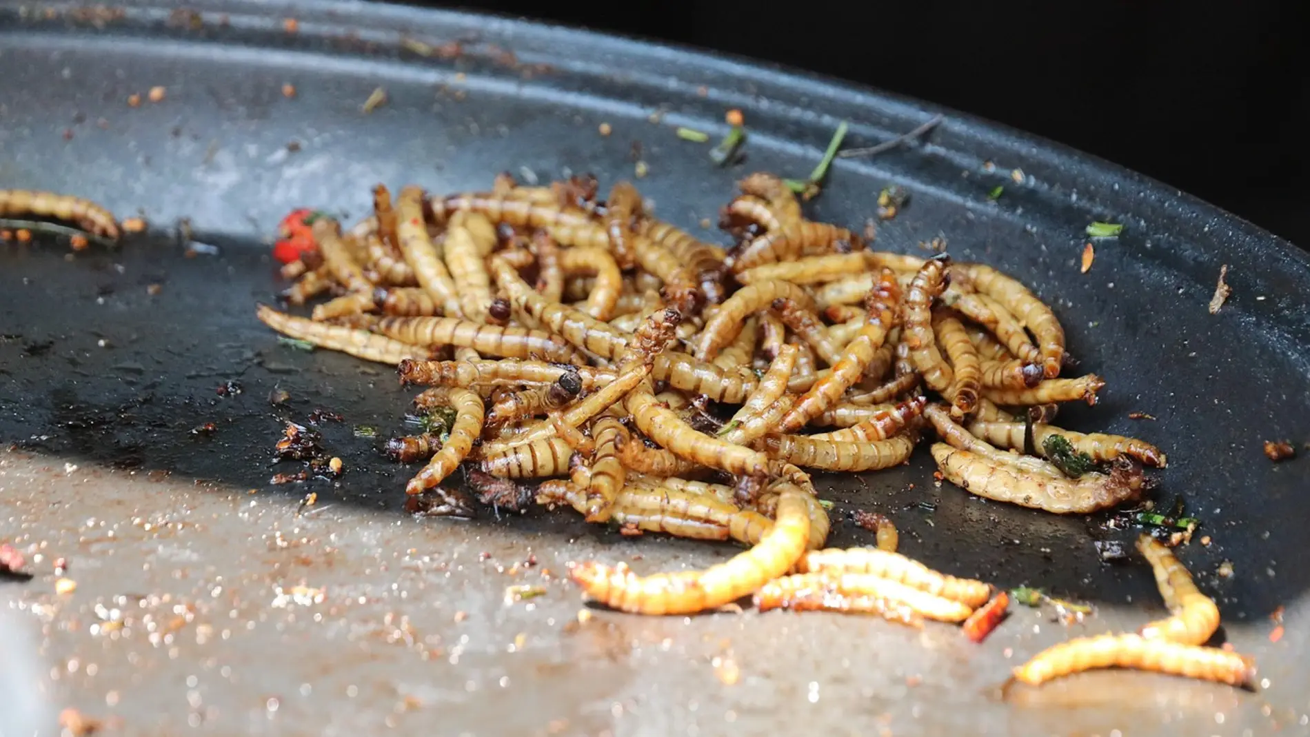 Imagen de gusanos de la harina comestibles