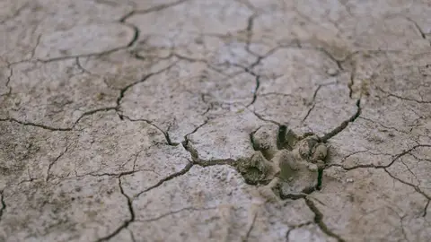 Imagen de archivo de suelo seco Imagen de archivo de suelo seco