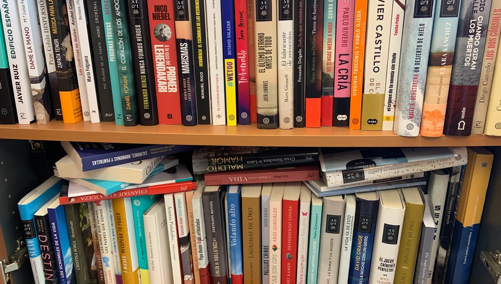Aumentan las usuarios de la Red Vasca de Bibliotecas . Aumentan las usuarios de la Red Vasca de Bibliotecas .