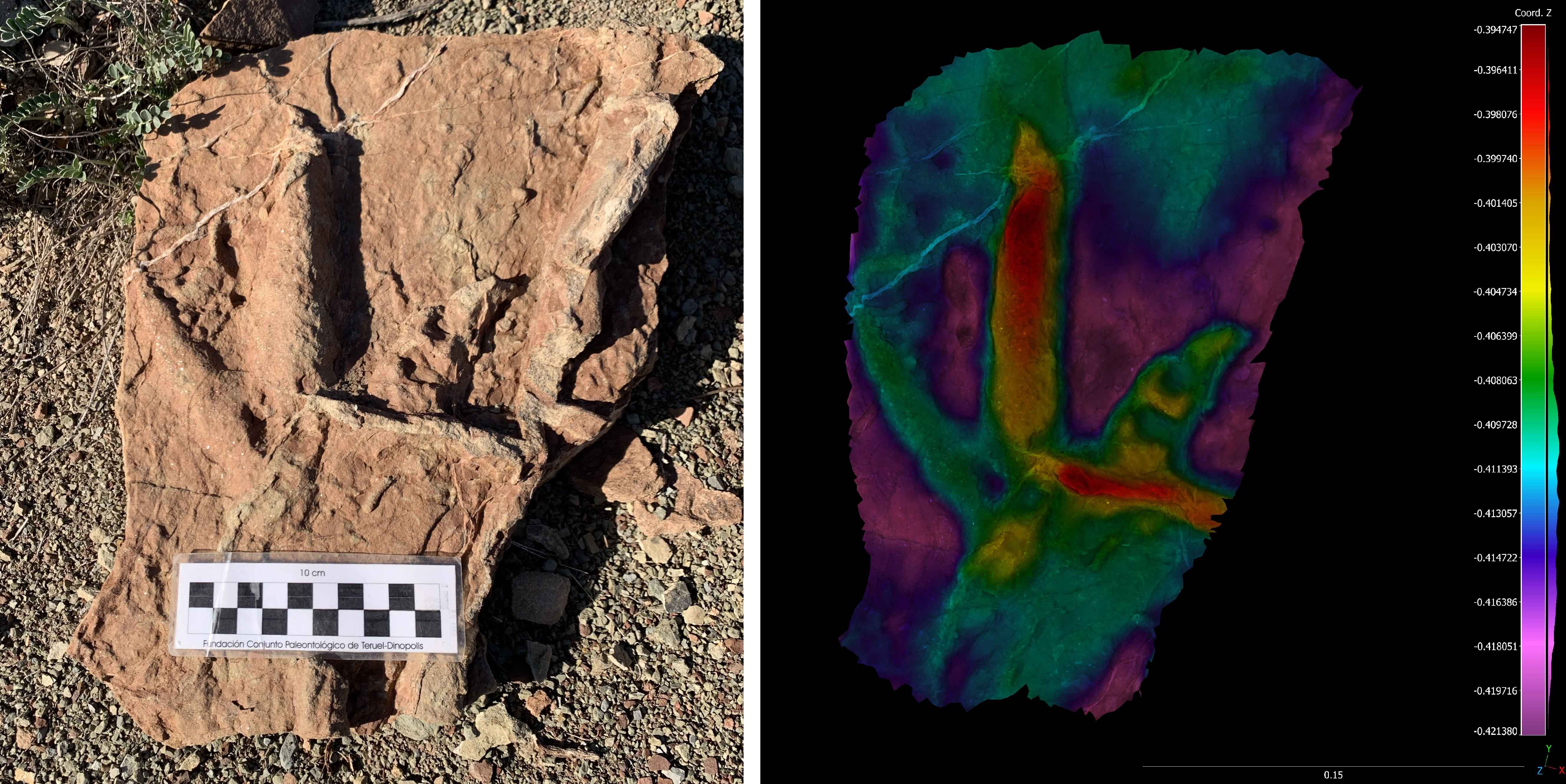 Jóvenes investigadores presentes en Portugal Jóvenes investigadores presentes en Portugal