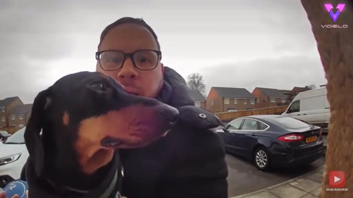 Buddy, el perro inglés de la pareja feliz: "Todas las canciones me las dedica, le cambia las letras y todas hablan de mí" Buddy, el perro inglés de la pareja feliz: "Todas las canciones me las dedica, le cambia las letras y todas hablan de mí"