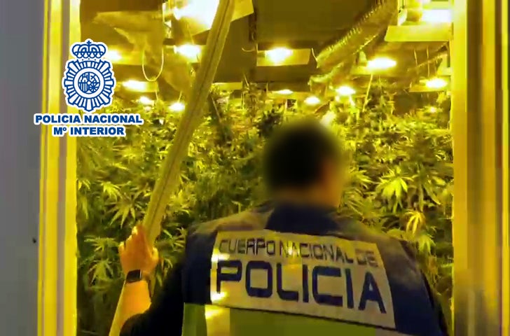 La Policía Nacional desmantela una plantación indoor de marihuana oculta en una nave industrial La Policía Nacional desmantela una plantación indoor de marihuana oculta en una nave industrial