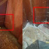 Imagen de las telas de araña hechas con hilos de pegamento para detectar viviendas vacías