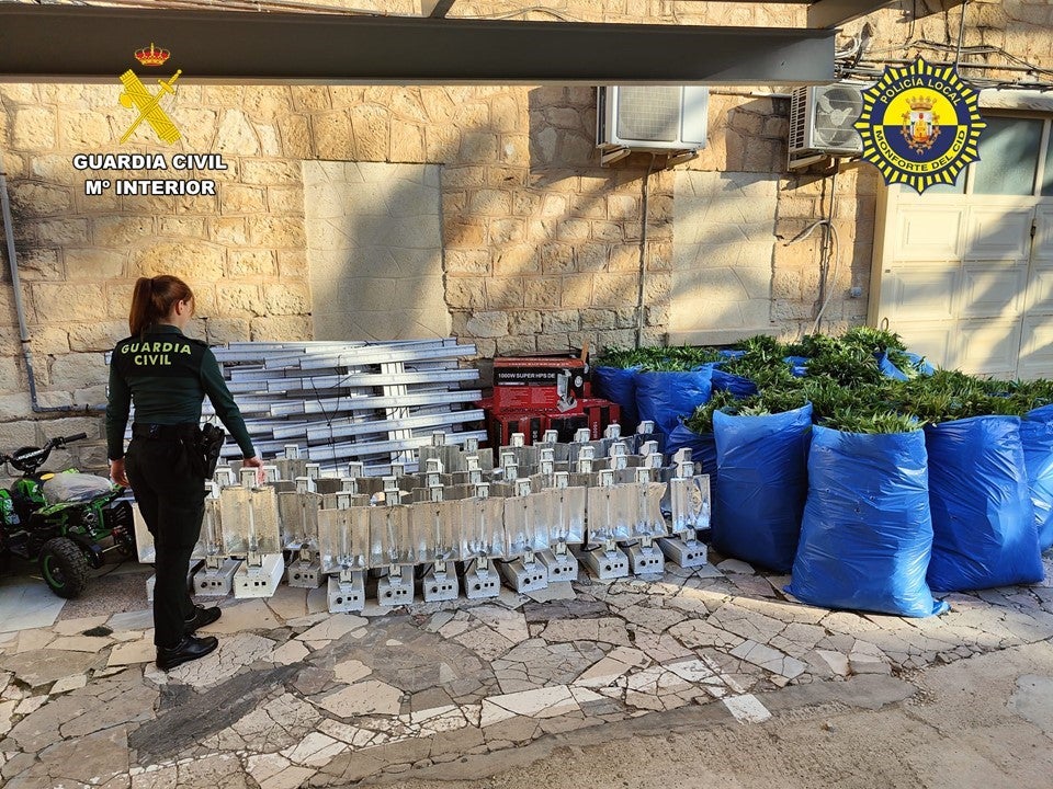Detenidas cuatro personas durante la investigación de un robo de marihuana en una nave de Monforte del Cid Detenidas cuatro personas durante la investigación de un robo de marihuana en una nave de Monforte del Cid