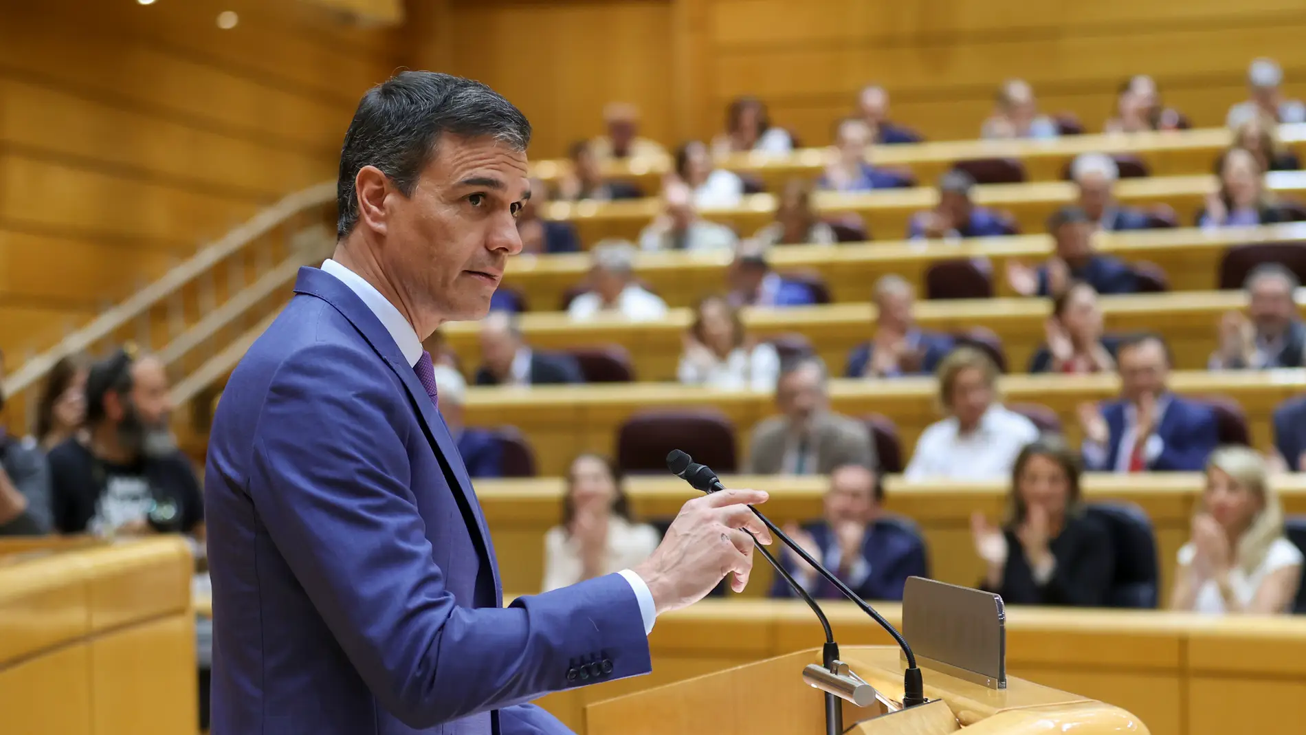 Pedro Sánchez, durante su intervención en el Senado