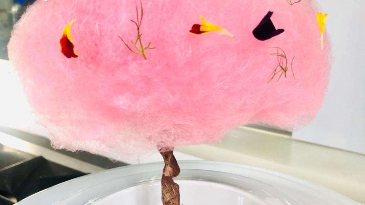 Árbol de chocolate y algodón de azúcar | Onda Cero Radio