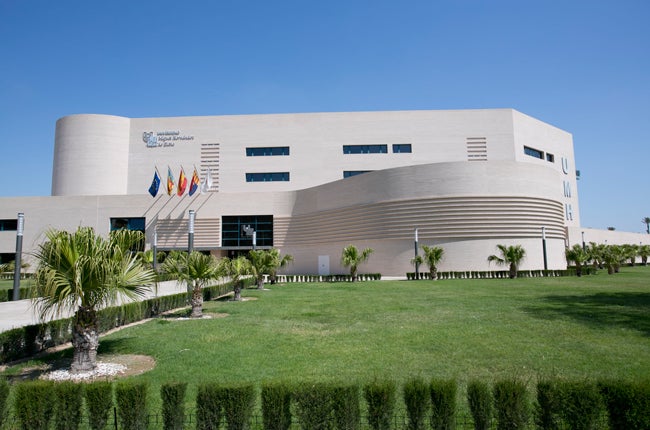 La UMH se consolida como la número 1 en España en materia de ciencia vegetal y agronomía La UMH se consolida como la número 1 en España en materia de ciencia vegetal y agronomía