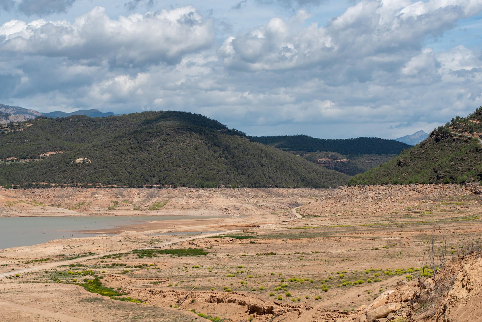 La CHE prevé que el 50% de la cuenca del Ebro esté en emergencia a final de mes La CHE prevé que el 50% de la cuenca del Ebro esté en emergencia a final de mes