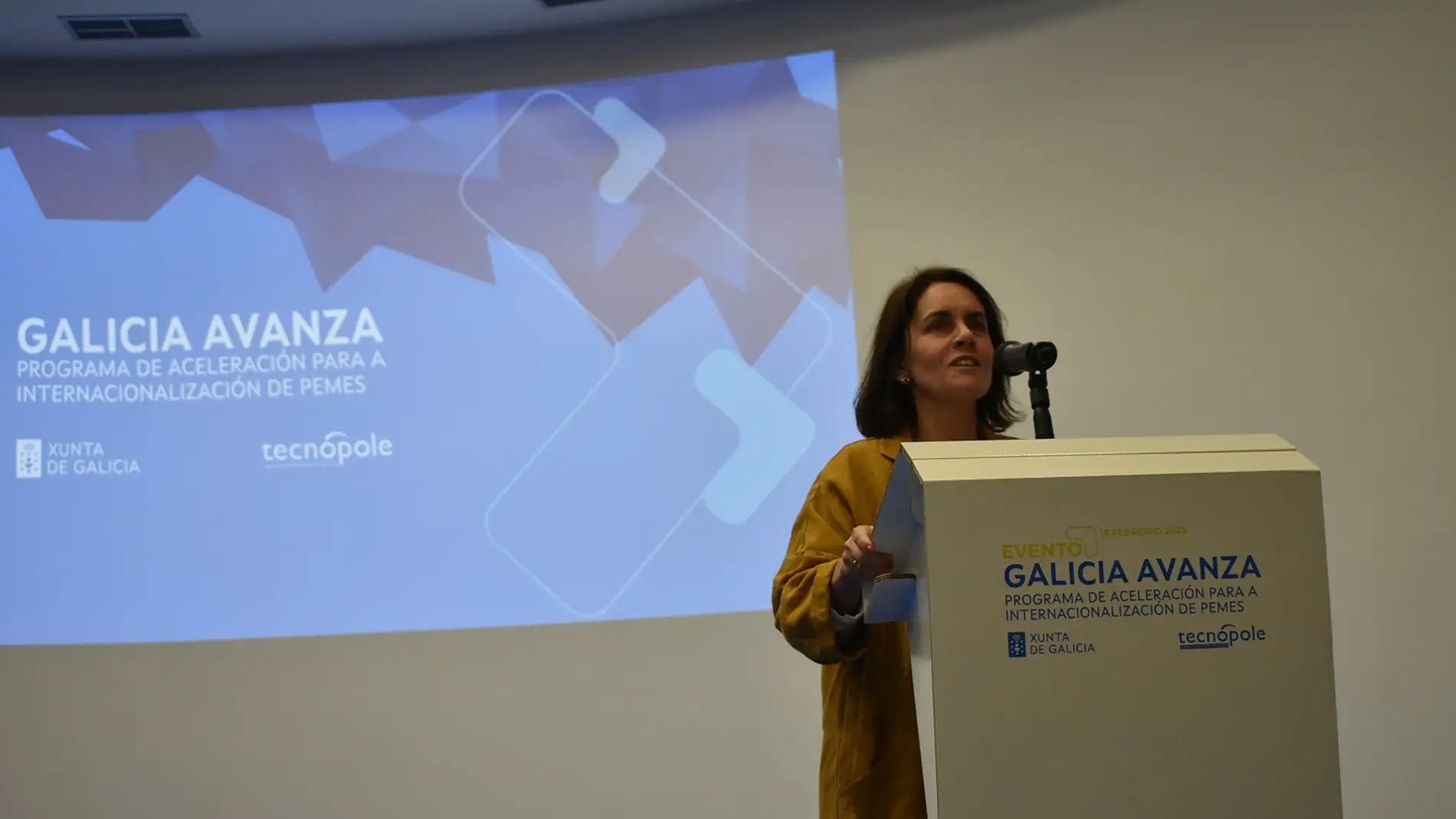 Trinta pemes van poder internacionalizar os seos productos a través do programa Galiza Avanza
