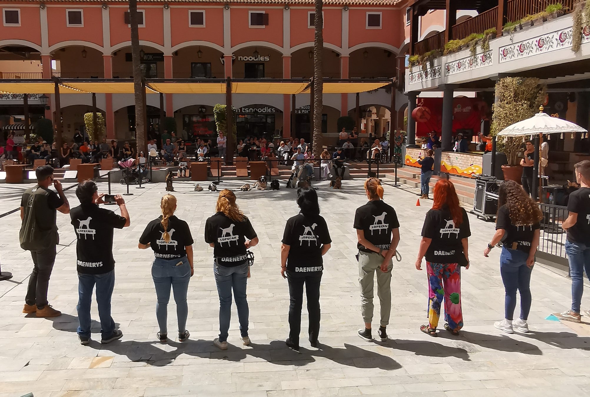 Más de medio centenar de perros y dueños se reúnen en Plaza Mayor para fomentar el cuidado y la educación de mascotas Más de medio centenar de perros y dueños se reúnen en Plaza Mayor para fomentar el cuidado y la educación de mascotas