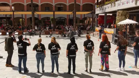 Más de medio centenar de perros y dueños se reúnen en Plaza Mayor para fomentar el cuidado y la educación de mascotas Más de medio centenar de perros y dueños se reúnen en Plaza Mayor para fomentar el cuidado y la educación de mascotas