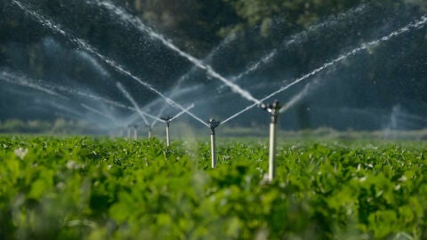 Riego en una explotación agrícola