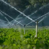 Riego en una explotación agrícola Riego en una explotación agrícola