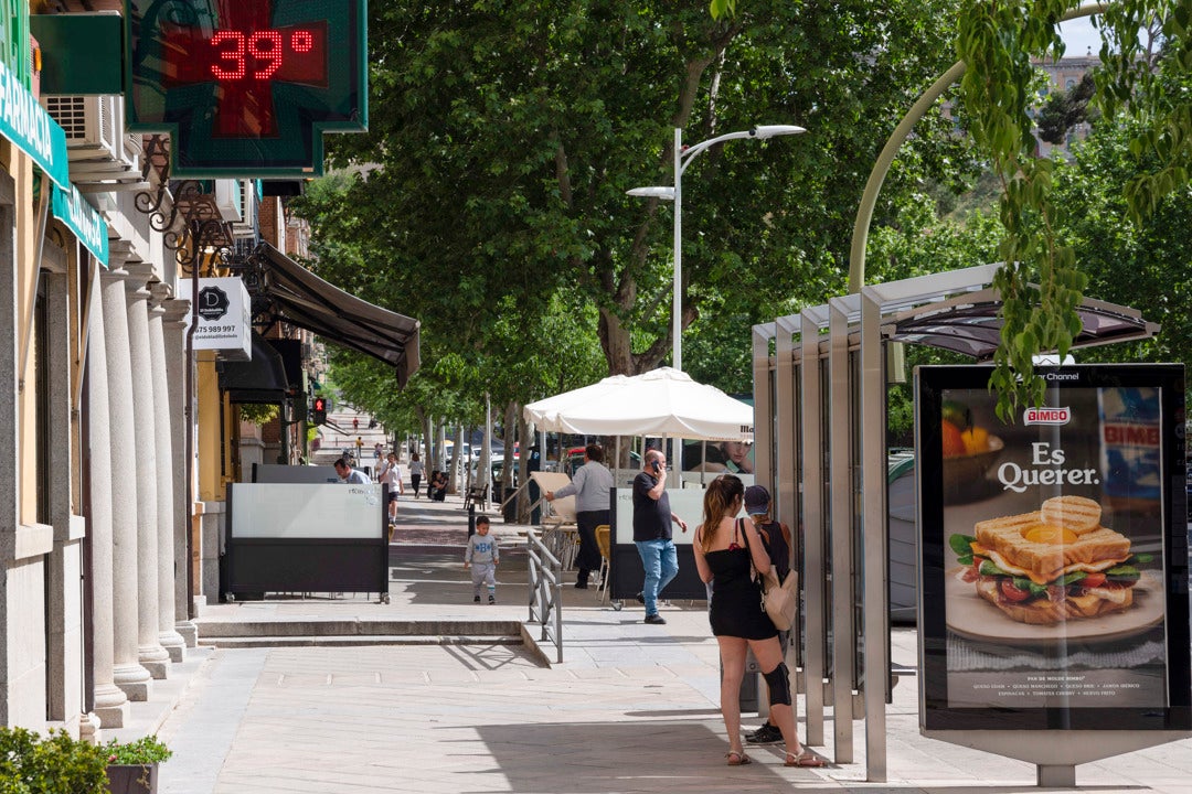 Árboles, agua y menos asfalto: así plantean los expertos adaptar las ciudades al calor extremo del futuro Árboles, agua y menos asfalto: así plantean los expertos adaptar las ciudades al calor extremo del futuro