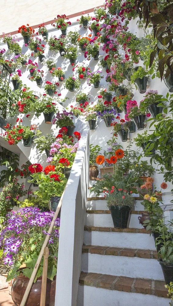 Patio de Córdoba