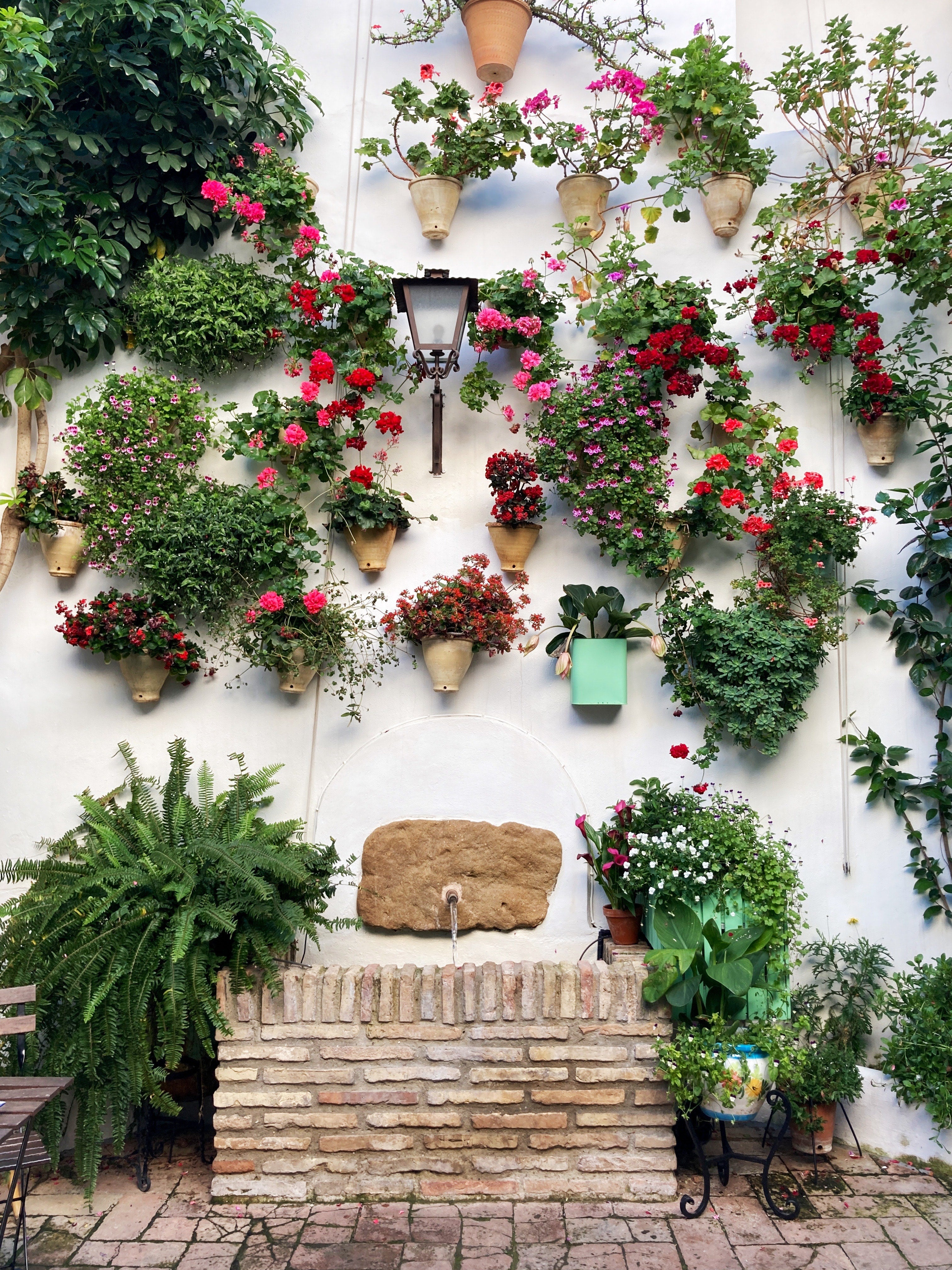 Guía básica de la Fiesta de los Patios de Córdoba 2023 Guía básica de la Fiesta de los Patios de Córdoba 2023