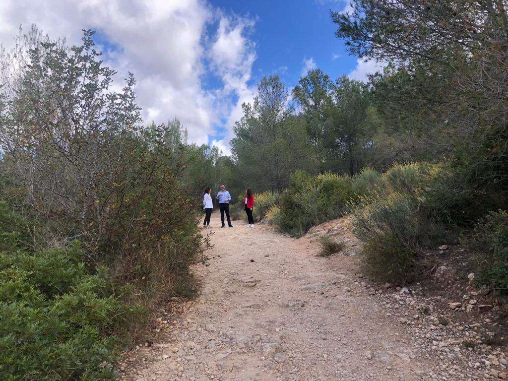 El PSIB propone crear una empresa pública para la gestión del suelo en Baleares El PSIB propone crear una empresa pública para la gestión del suelo en Baleares