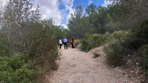 El PSIB propone crear una empresa pública para la gestión del suelo en Baleares. El PSIB propone crear una empresa pública para la gestión del suelo en Baleares.