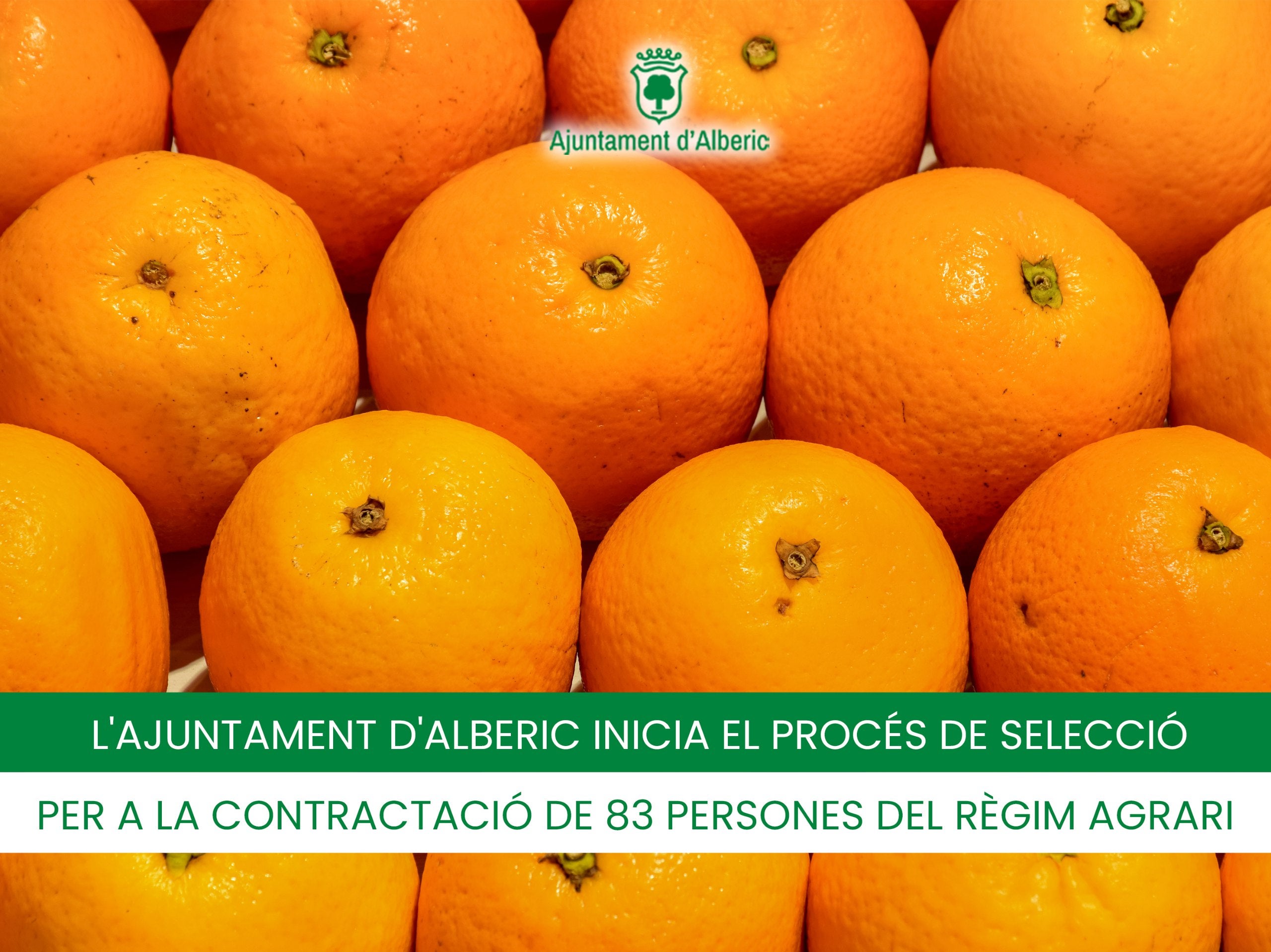 Alberic recibe más de 130 mil euros para fomentar el empleo agrícola Alberic recibe más de 130 mil euros para fomentar el empleo agrícola