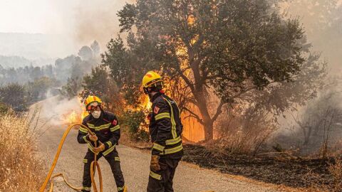 Intervenci&oacute;n de los bomberos en un incendio forestal