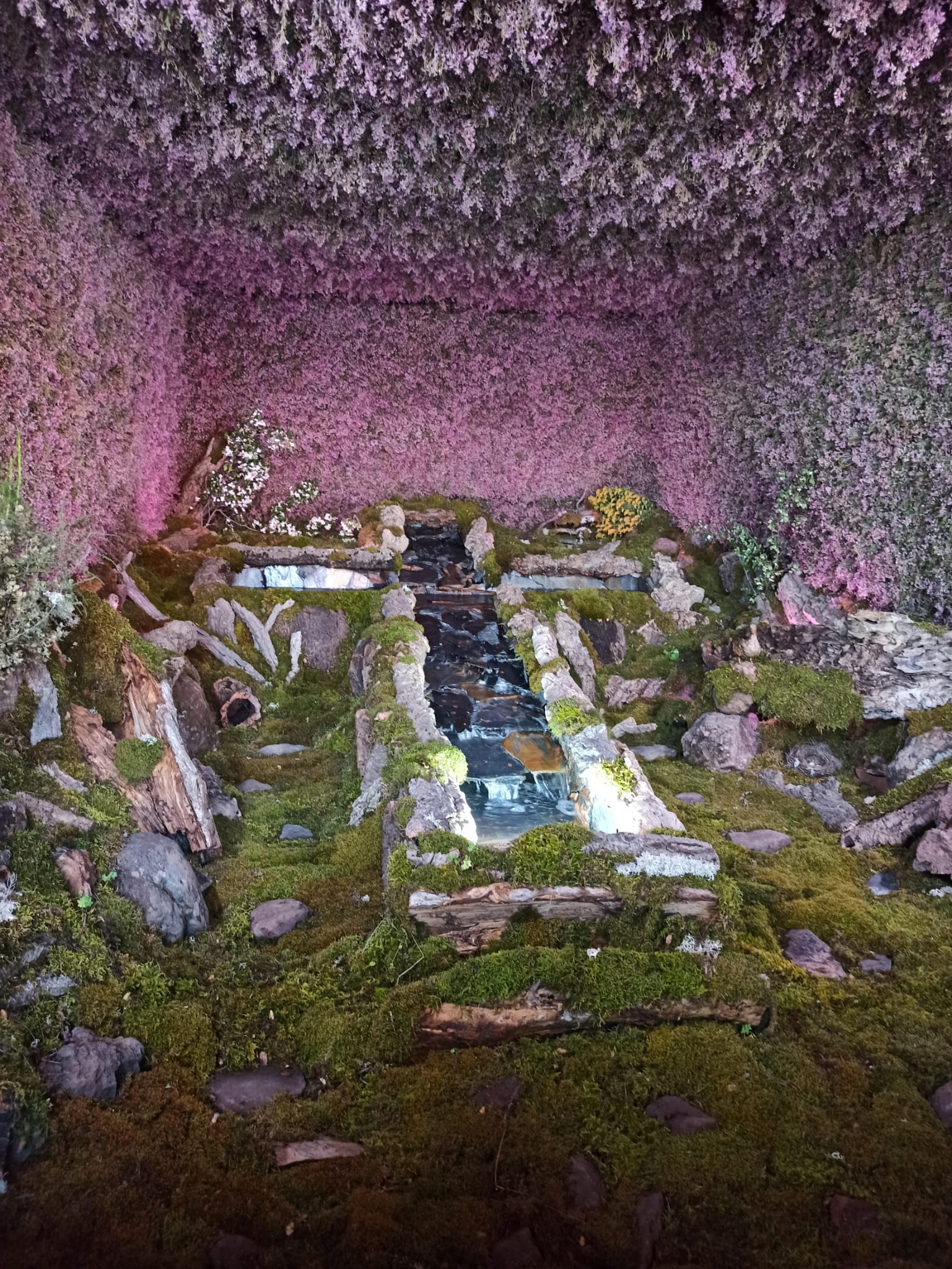 La alegría, la devoción y el folklore vuelven a unirse en la celebración de las Cruces y Mayos de Piedrabuena La alegría, la devoción y el folklore vuelven a unirse en la celebración de las Cruces y Mayos de Piedrabuena